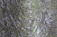 Billinghay fibreglass roof work